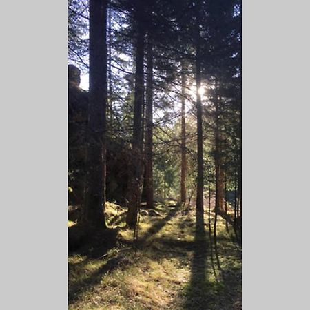 Gemuetliches Ferienhaus Am Waldrand Tröpolach Exteriér fotografie